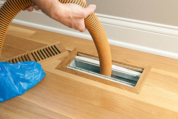 Best Home Air Vent Cleaning  in Prceton, IN